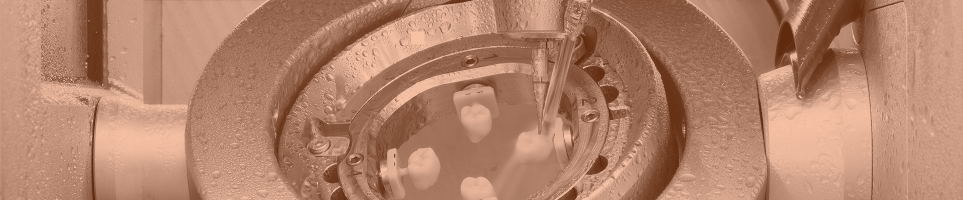 ERP-Dental® R/1 ERP-Dental® R/1